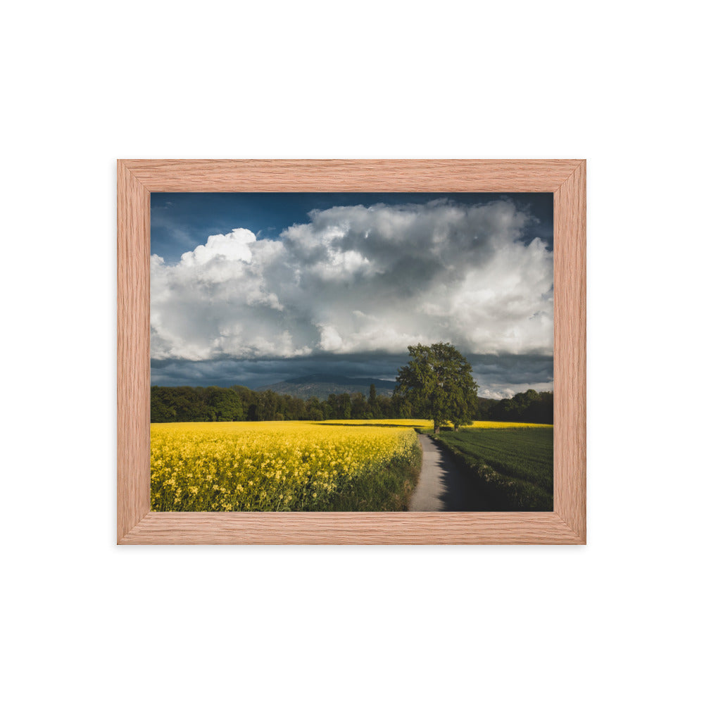 Framed photo paper poster