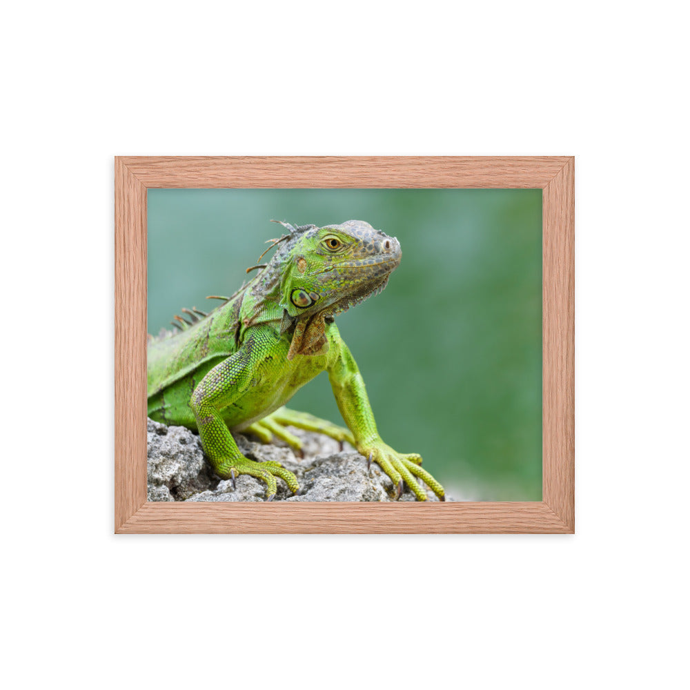 Framed photo paper poster