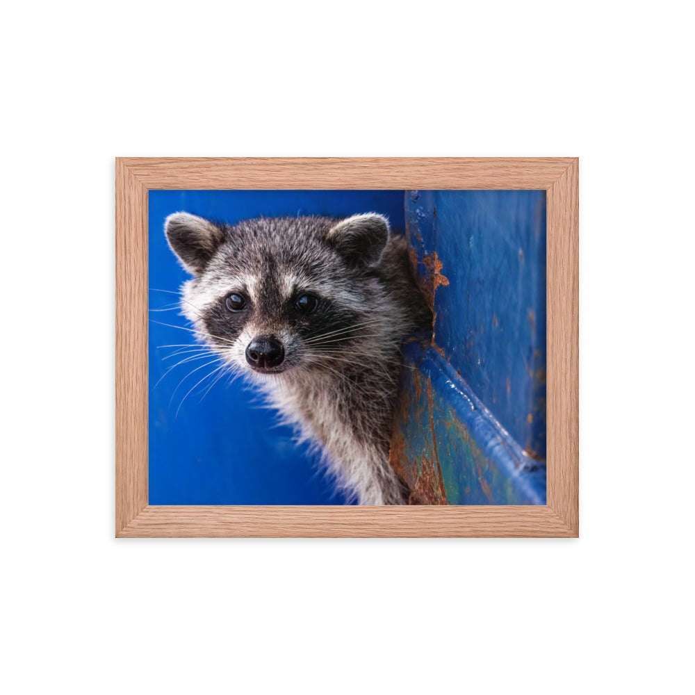 Framed photo paper poster