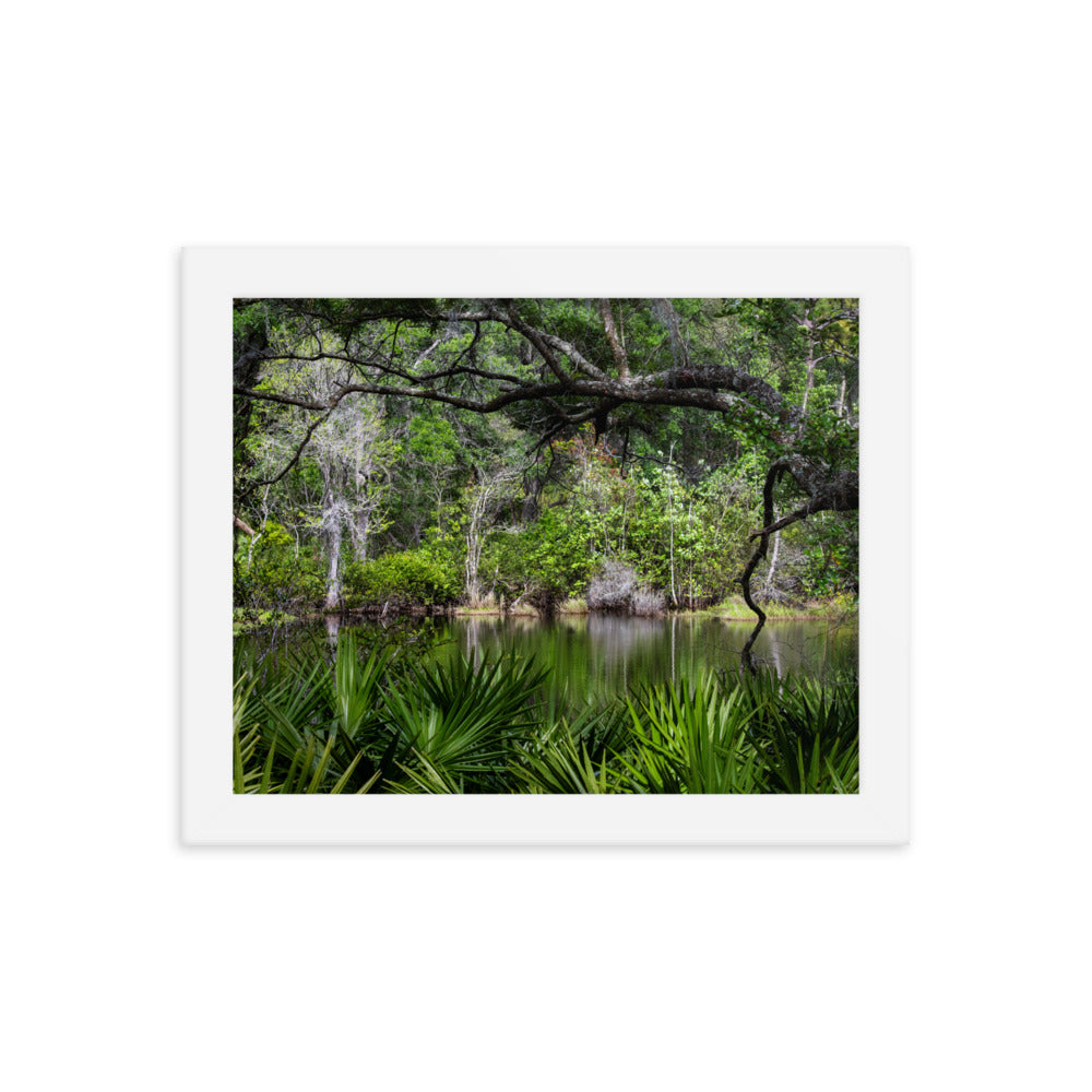 Framed photo paper poster